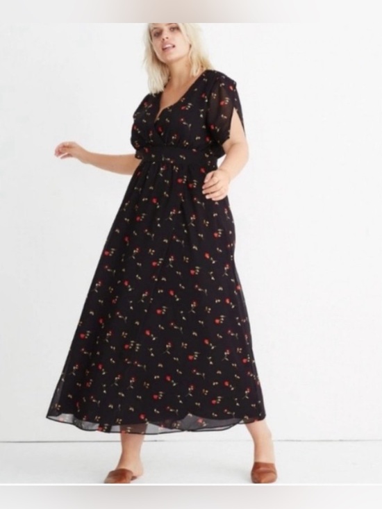 Madewell Dresses & Skirts - Madewell Blue Maxi Dress with Red Floral Print